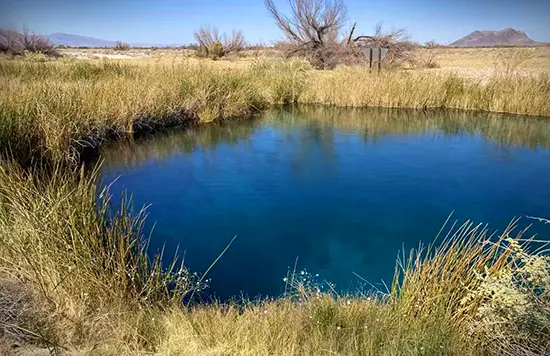 Death Valley Bird Watching